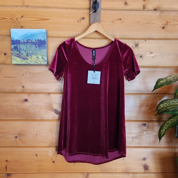 Agnes & Dora Tops - Agnes & Dora 💜 NWT Velvet Everyday Tee Shirt Deep Wine Red Velour Top Hi Low M